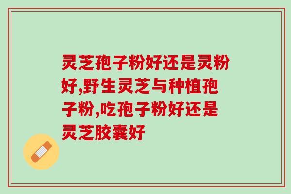 灵芝 子实体 多糖？灵芝多糖与香菇多糖的区别