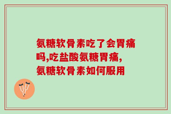 老年边牧关节软骨素(老年边牧狗狗关节软骨素补充品选购指南)