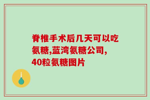 联升元牌氨糖软骨素(联升元牌氨糖软骨素：关爱关节，舒缓骨骼问题)