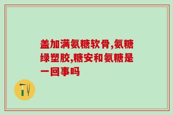 美国氨糖软骨素30粒(美国30粒氨糖软骨素营养保健品)