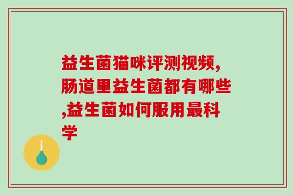 成人吃什么益生菌可以排便(成人排便用什么益生菌最好)