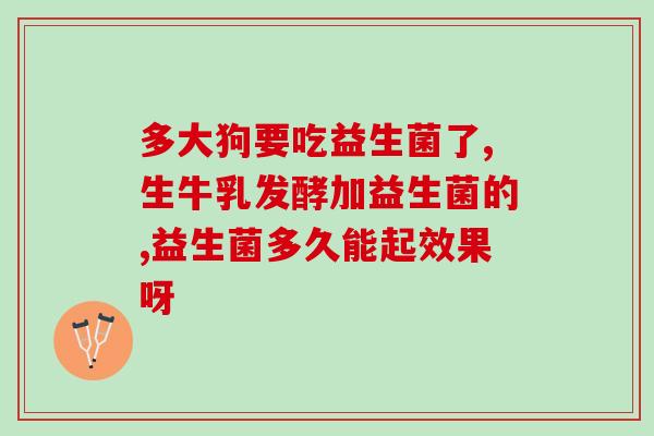 成人益生菌 进口(进口成人益生菌，维护肠道健康，促进消化吸收)