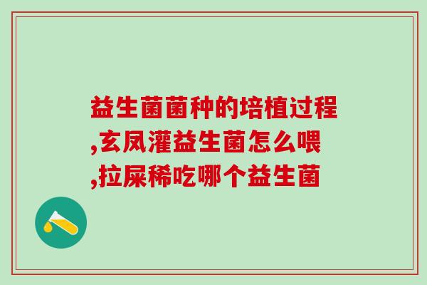折耳猫益生菌怎么吃的视频(学习如何给你的折耳猫喂食益生菌)