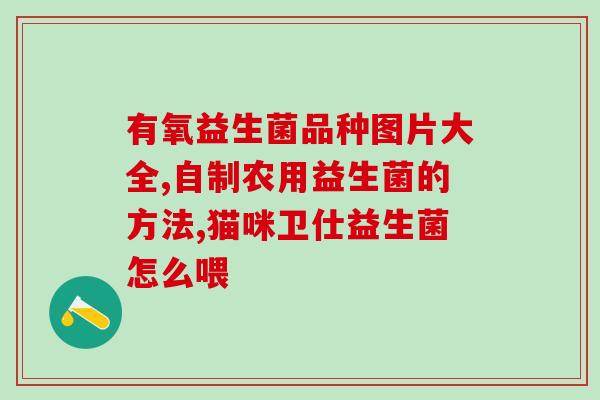 成人益生菌粉哪个品牌好(成人益生菌粉推荐十大品牌，如何选择？)