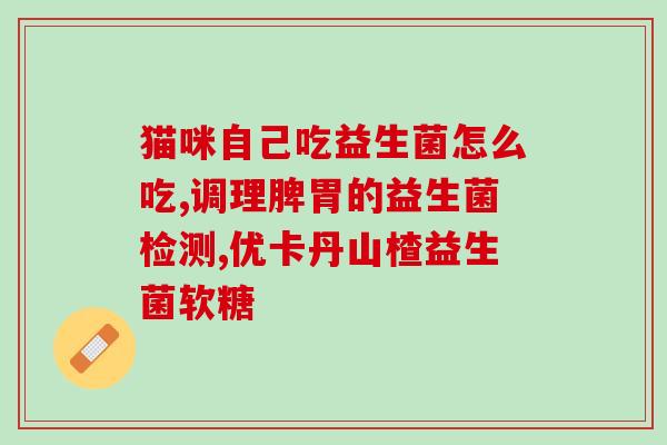 拜奥益生菌哪里有实体店(拜奥益生菌实体店在哪儿买？)