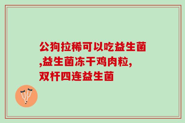 新猫咪怎么喂食益生菌(给新猫咪喂益生菌的正确方法)