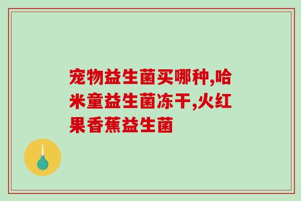 成人益生菌优美达(优美达：成人肠道健康守护者)