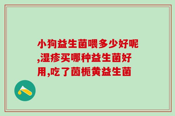 新声儿益生菌的作用(新声儿益生菌：健康肠道，助力免疫。)