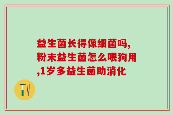 拜奥益生菌夏天怎么运输(夏天如何运输拜奥益生菌？)