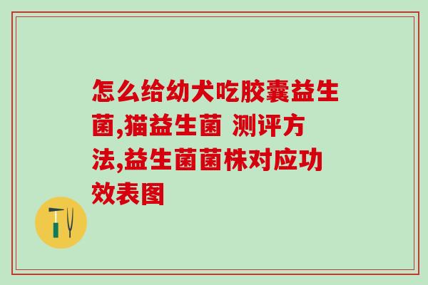 敏宝拉稀便适合什么益生菌(什么益生菌适合缓解敏宝拉稀便？)