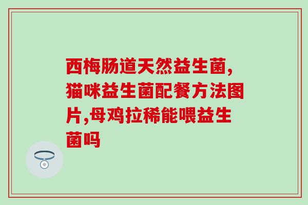 密音益生菌怎么样(密音益生菌效果如何？)