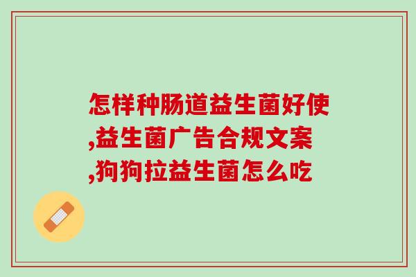 成人吃益生菌的作用及功能(成年人益生菌的功效与益处)