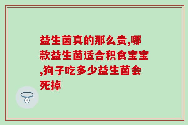 新猫到家吃什么益生菌最好(最佳益生菌选择：新猫到家该怎么喂？)