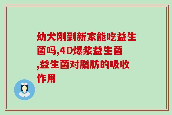 比智高益生菌作用(比智高益生菌：改善肠道健康的必备选择)