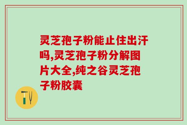 市场灵芝孢子粉？灵芝孢子粉在哪里能买到