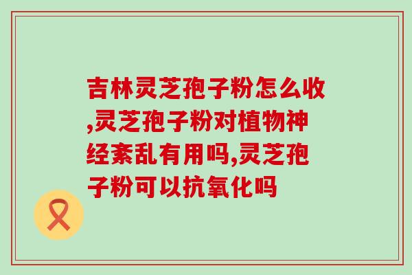 仙客来灵芝孢子粉是什么？仙客来好养还是丽格海棠好养