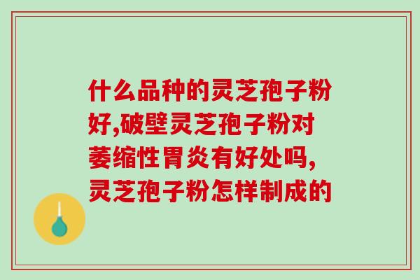 从备孕就喝灵芝孢子粉吗？灵芝孢子粉能不能长期吃