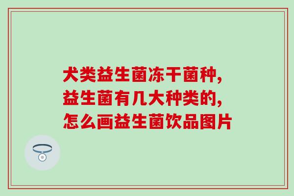 消化酶益生菌猫怎么用(猫咪消化酶和益生菌的正确使用方法)