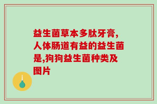 泰科博曼鼻咽益生菌怎么样泰科博曼鼻咽益生菌的功效与使用方法
