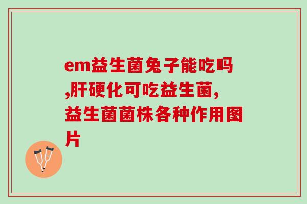 朝阳区成人益生菌批发市场在哪(朝阳区哪里有成人益生菌批发市场？)