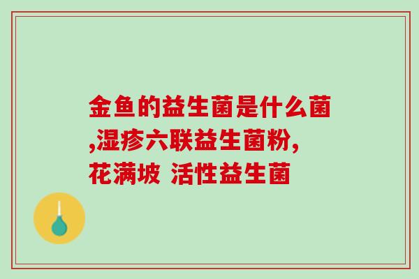 消化不良吃什么益生菌猫(摆脱消化不良，养肠道设益生菌！