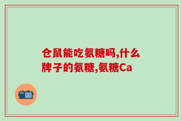 高能吃氨糖胶囊(高,氨糖胶囊可作选择) 高能吃氨糖胶囊(高,氨糖胶囊可作选择)