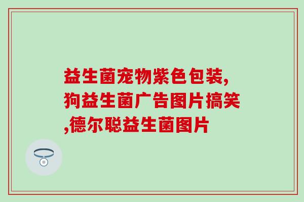 狗喝益生菌怎么吃(如何给狗狗喂食益生菌？)