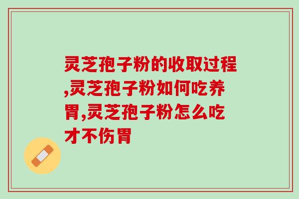 益生菌和灵芝孢子粉搭配？灵芝孢子粉功效与作用及用量是什么