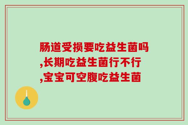 独立包装德鲁善益生菌(德鲁善益生菌：促进消化系统健康的选择)
