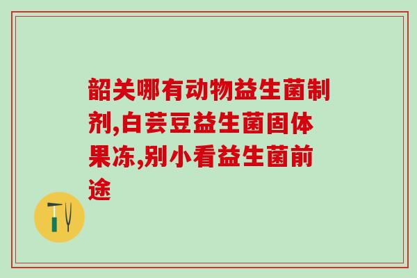 没糖的益生菌(益生菌：不加糖还能这么美味！)