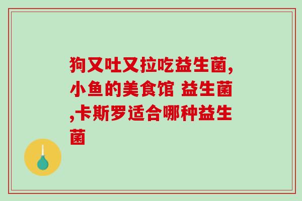 男人吃什么肠道益生菌最好(男性肠道健康，这些食物是最好的益生菌来源)
