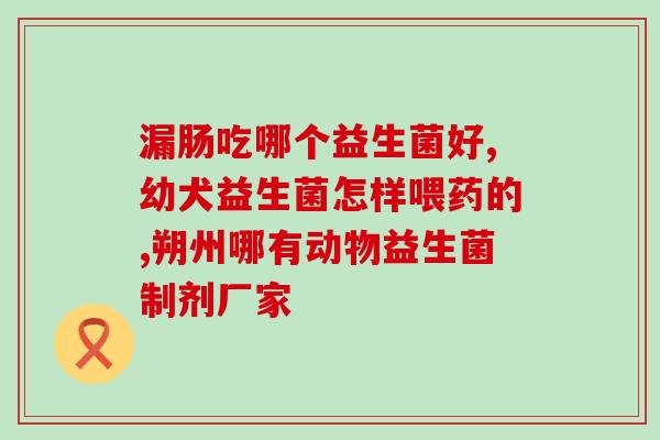 猫咪拉稀该喂什么益生菌(解决猫咪拉稀的方法：提供什么益生菌？)