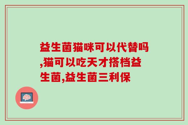 猫呕吐吐白沫吃益生菌有用吗(猫呕吐白沫是否适合补充益生菌？)