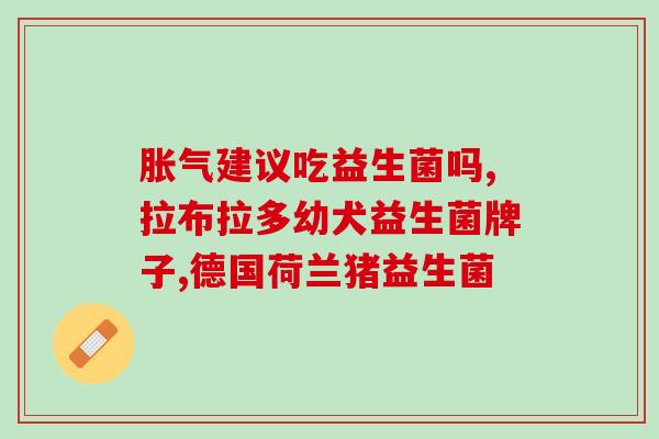 益生菌二联作用(益生菌二联：双管齐下，强效作用！)