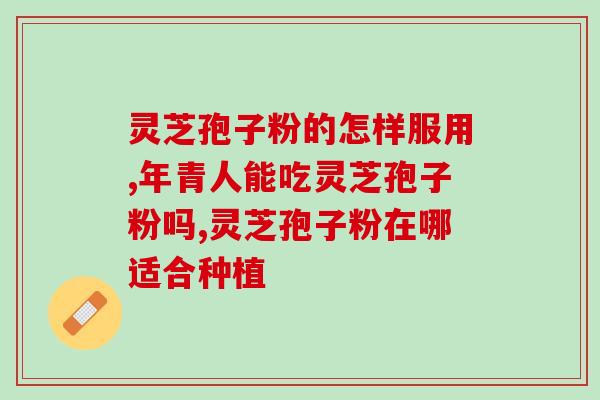 胆结石可吃灵芝孢子粉？灵芝孢子粉正确食用的用法