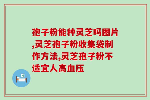 灵芝孢子粉粉怎么吃法？灵芝孢子粉如何食用