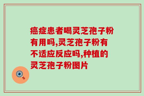 新余买灵芝孢子粉哪里有买？183开头的手机号码是哪里的