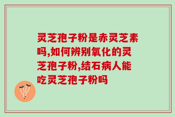 灵芝孢子粉全国招商？紫一破壁灵芝孢子粉到哪里买最好