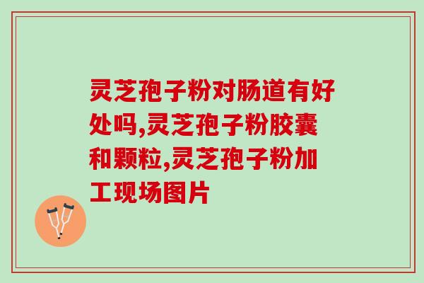 灵芝孢子粉怎么做实验？灵芝孢子粉制作法