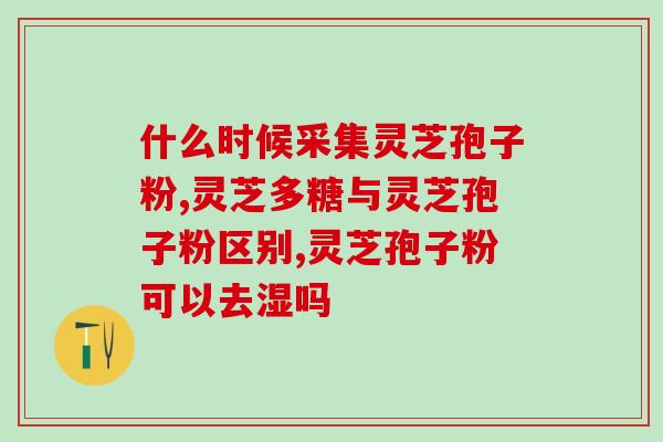 灵芝的孢子粉在哪？灵芝孢子粉哪里产的最正宗