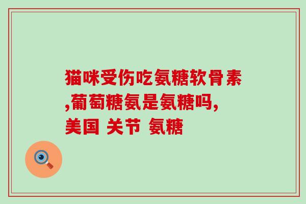 金氨糖软骨胶囊金氨糖软骨胶囊：关节健康护航)