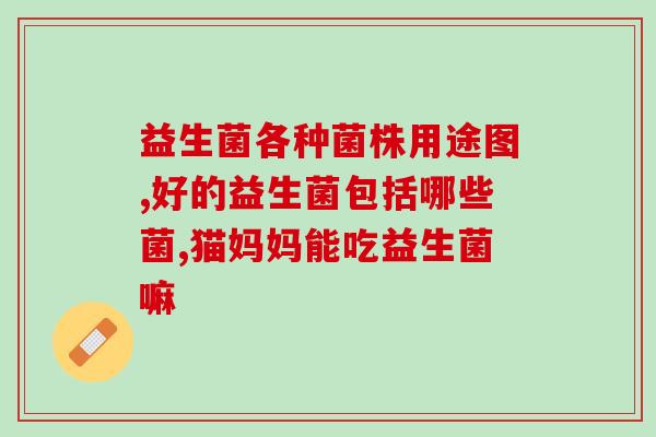猫咪生完宝宝拉稀可以吃益生菌吗(生产后拉稀的猫咪可以吃益生菌吗？)