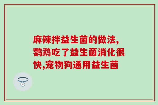 狗狗不吃益生菌怎么治疗(治疗狗狗不食用益生菌的方法)