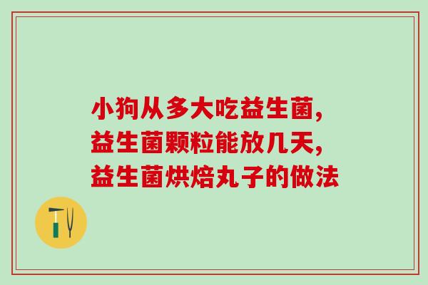 猫能吃狗的益生菌嘛怎么喂(如何给猫喂狗益生菌？)