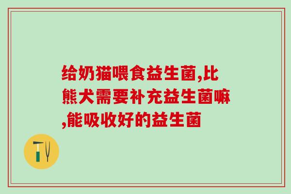 疯狂的狗益生菌怎么样(狂野益生菌：最新强效助消化！)