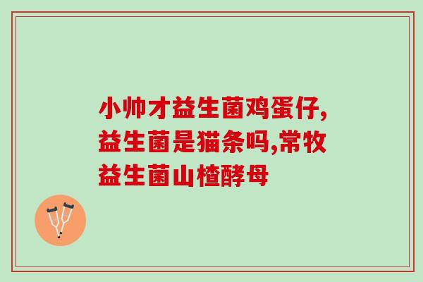 益生菌冻干粉一盒有几条(益生菌冻干粉一盒含几条？)