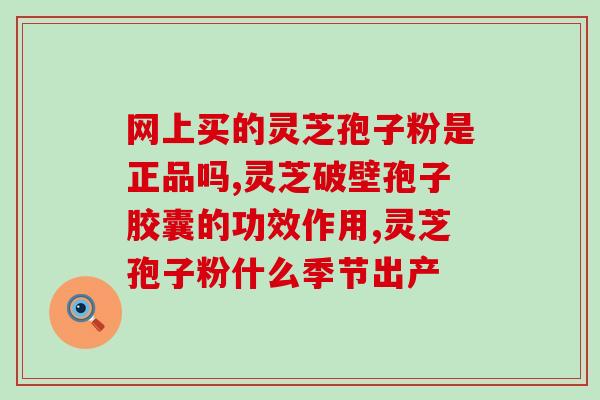 吉林敖东灵芝孢子粉图片？敖东灵芝孢子粉正宗吗
