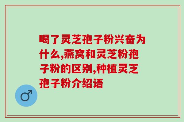 灵芝孢子油维生素C？提高免疫力为什么说吃灵芝孢子油比较好