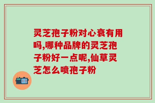 灵芝孢子粉妙用有哪些？灵芝孢子粉有什么好处