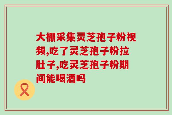 灵芝孢子粉和五克是多少？破壁灵芝孢子粉每天服用几次，每次服多少